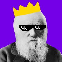 Meme Royale 👑💀 (@memeroyalexyz) 's Twitter Profile