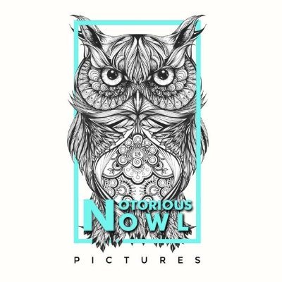 Notorious Owl Pictures is a Mumbai based production house, founded by Gaurav Bajaj. It deals with Tv Commercials, Print Ads, Feature Films etc...