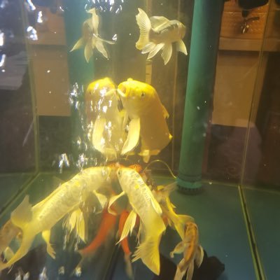 cc77245's profile picture. 不要麻木