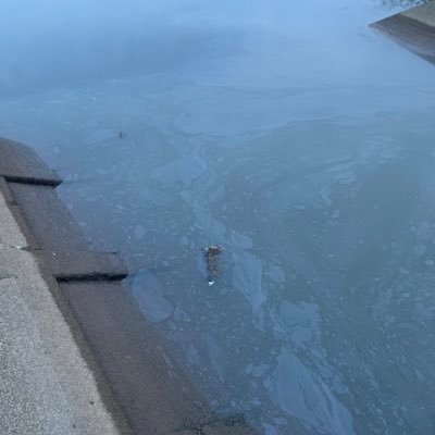 03_1217_'s profile picture. 