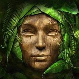 WPikassaut's profile picture. 