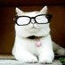 Catturd page (@CatturdPag97831) Twitter profile photo