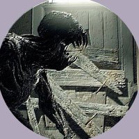 M O L D E D (@moldedspore) 's Twitter Profile