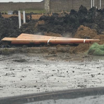 trashbinboys's profile picture. 