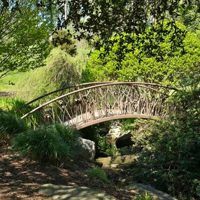 karen_mirsky's profile picture. 