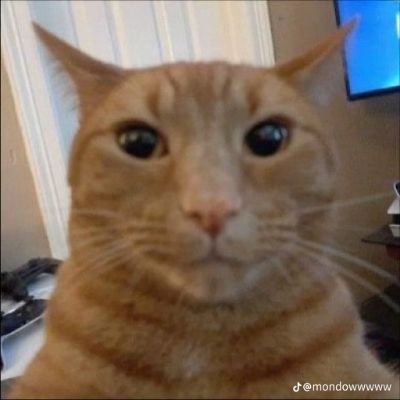 Destripador_616's profile picture. Hola