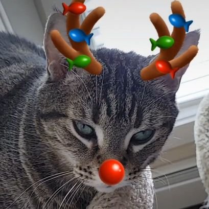 AquaDCee's profile picture. 