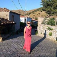 nazlı gökcan(@dolphinapart) 's Twitter Profile Photo