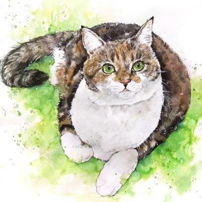 @6Fkro