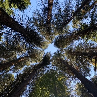 she/her. Mixed Niitsitapi/Blackfoot akíí. Passionate about Land Based Learning, Anti-Racism, Social Justice & Equity. Tweets are my own.