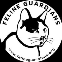 Feline Guardians Without Borders(@felineguardians) 's Twitter Profile Photo