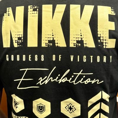 私はただFGO、HSR、鳴潮、NIKKE、そしてモンスターハンターが好きな男です。 I’m just a guy who likes FGO, HSR, Wuthering Waves, NIKKE, and Monster Hunter.