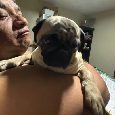 CarlosCelisGar2's profile picture. 