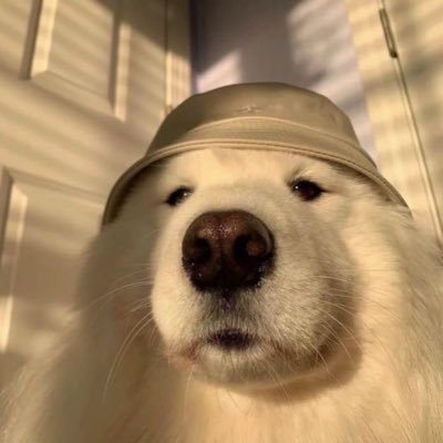 made this account for monopoly go selling only☆彡 —check my pinned tweet for proofs  💌