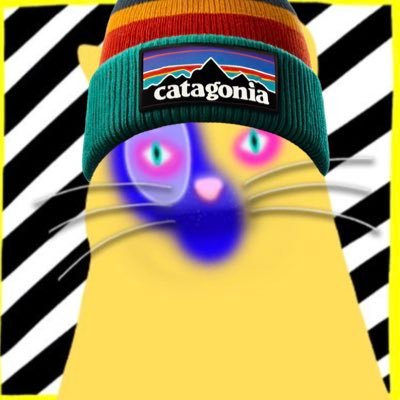CandyViz | BIP-420 🐱さんのプロフィール画像