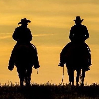 Real Estate Development with a rural Americana, ranching, farming, music & hospitality twist.
1 in 10 million bison are born as white bison or Bisonte Blanco!