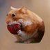 nom nom (@nomnom_solana) Twitter profile photo nom nom (@nomnom_solana) Twitter profile photo