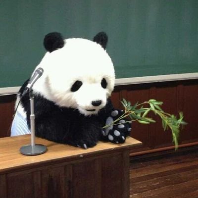 sasasasapapanda's profile picture. 開業を目論む歯医者さん
無言フォローすみません🙇‍♀️