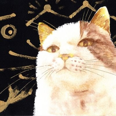 Kyoko Tamamama TKGさんのプロフィール画像