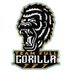 Team Full Gorilla (@TeamFullGorilla) Twitter profile photo