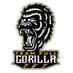 @TeamFullGorilla