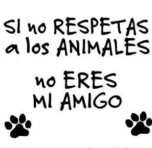 Sacrificio Cero:
difundo a los animales sin hogar se su voz y ayudales a ser felices...por que ni la calle ni las perreras es un buen sitio para ningun animal