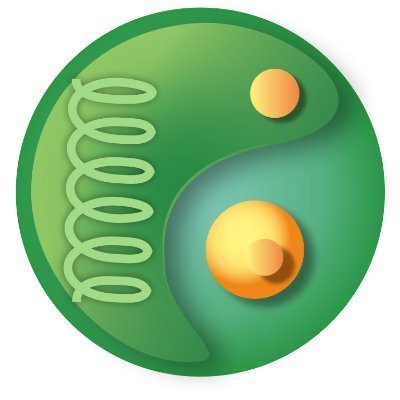 wongndonya's profile picture. microalgae biorefinery, renewable energy, system engineering, carbon capture, sok-sok runner