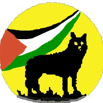 AFP-pensjonist.
Klima og overvann. Legalisering og regulering. Dyr og fugler. Forsvar og fred. Forvirret og venstrevridd. Bodø/Glimt og Bayern München. 🇺🇦🇵🇸