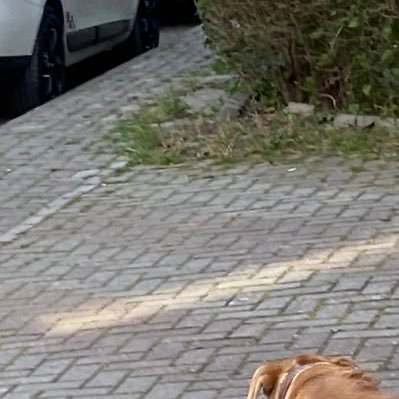 tahersites's profile picture. 