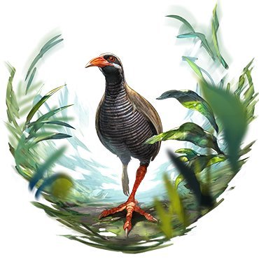 panpan_114514's profile picture. liubai https://t.co/89Wby7lE8l…