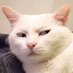 เฟอร์ชอบกินจุ้งงงงง (@furxxx00) Twitter profile photo เฟอร์ชอบกินจุ้งงงงง (@furxxx00) Twitter profile photo