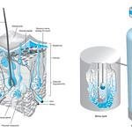 kebT13CZwwKj3ZM's profile picture. 