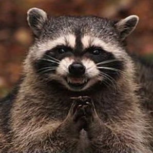 Stodgie's profile picture. Reluctant and elusive.