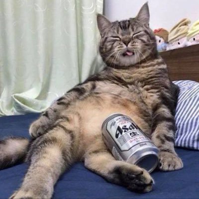 DRUNKCAT CAME TO PARTY ON THE SOLANA BLOCKCHAIN! 100% Community Driven Project TG: https://t.co/gTz7upBKB1