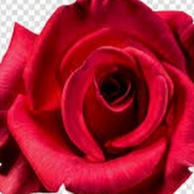 FuntipsR's profile picture. 