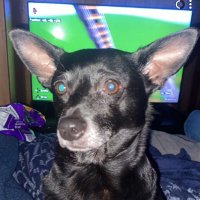 Joey (@joeyyoung085) 's Twitter Profile