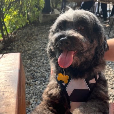 JDanielAngel's profile picture. Making Music. Learning. Growing. Loving.