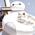 ʜɪᴋᴀʀᴜ⌇ミラコプレ花 (@arusb_) Twitter profile photo