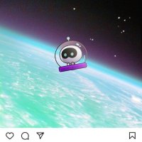 🐹Moon blue whale🐹 (@adriennekalien) 's Twitter Profile