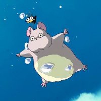 みぃ (@bf_j_tortoise) 's Twitter Profile