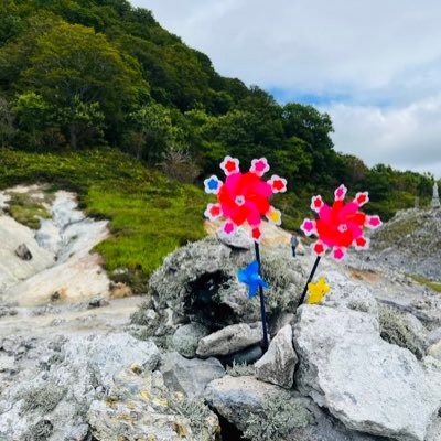 bl08amk's profile picture. 春の匂いは涅槃の薫り