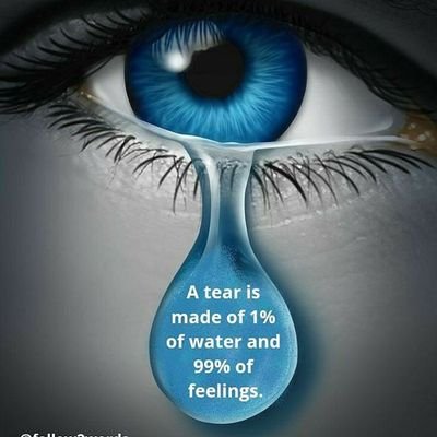 royal12911's profile picture. 