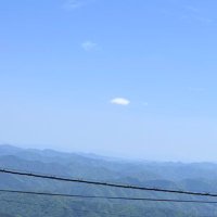 Aruka🐾 (@17_aruka) Twitter profile photo