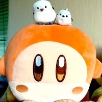 しゃぴ@38w→1m🦖 (@shapi_2) 's Twitter Profile