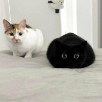👽 (@pfdwxr) 's Twitter Profile