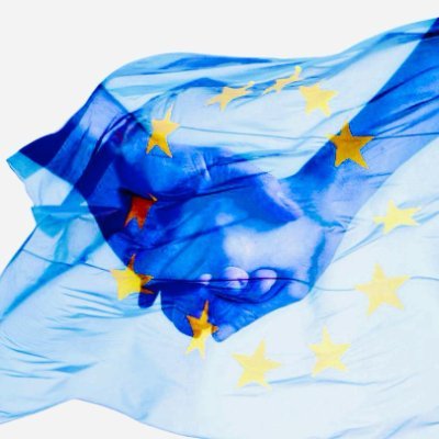 Advocacy organization for ME/CFS patients and their carers in Europe