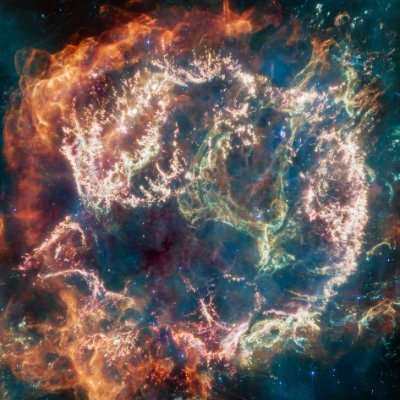 spicisofi's profile picture. infinite diversity