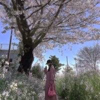 詩音🐰🌼しおぴ【NoWar】 (@sieg__shion) / X