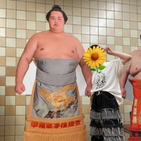 ᴾᴼᴺᴵ (@poni_sumo) Twitter profile photo