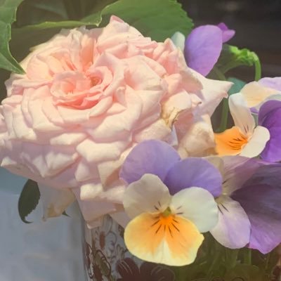 GfAznMHwDYApwPz's profile picture. OSK日本歌劇団が好き❤️